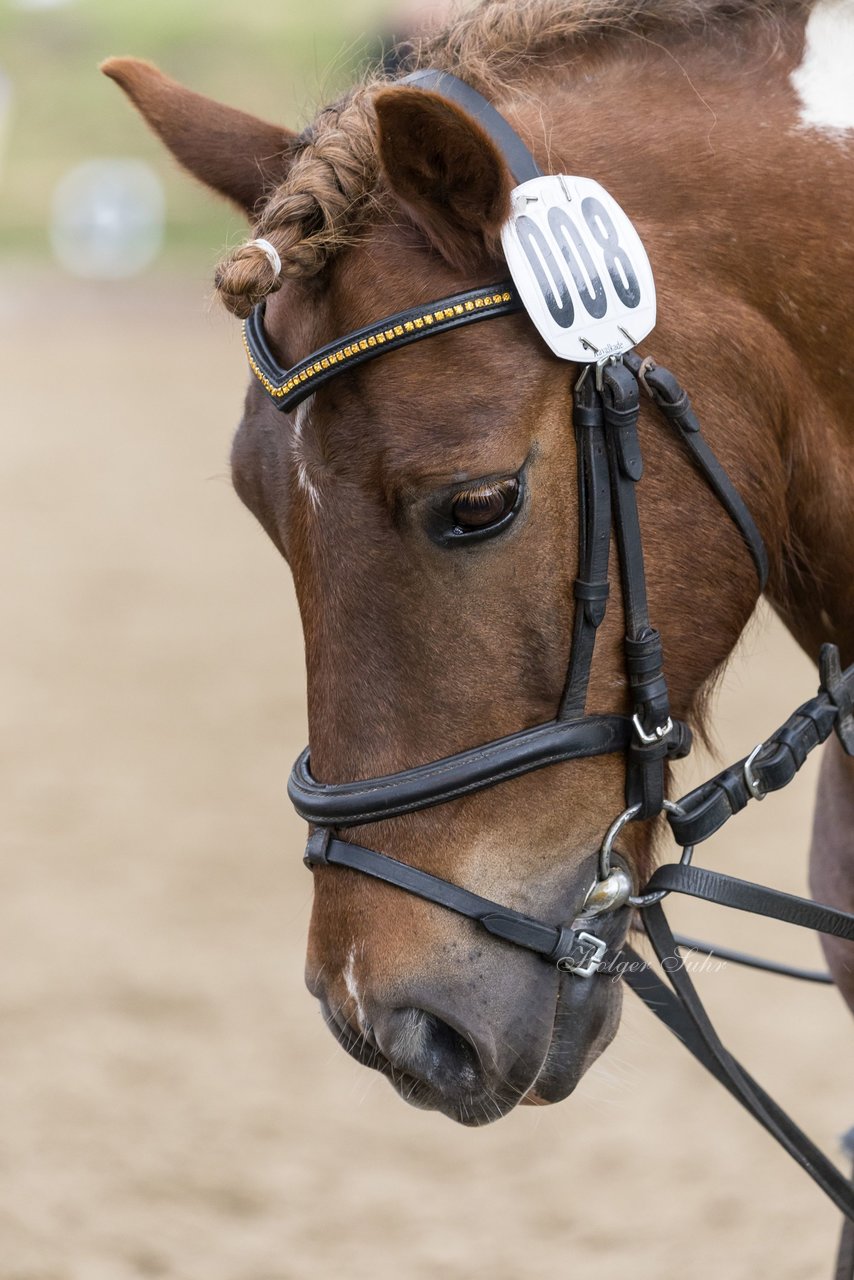 Bild 488 - Pony Akademie Turnier